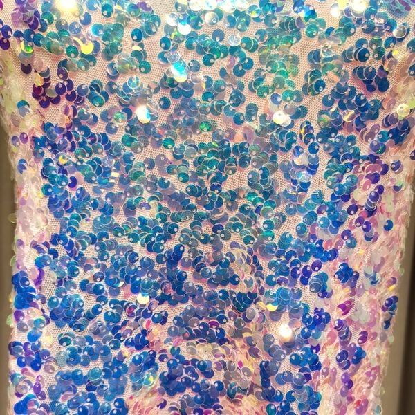 Sequin Fabric